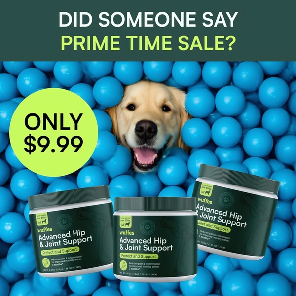 This creative showcases a dog emerging from a ball pit, highlighting a promotional discount offer for pet hip and joint support supplements.